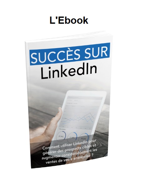 ebook succes sur linked in, ben hkimo ebook linkedin, formation linkedin, gagner de l'argent linked in